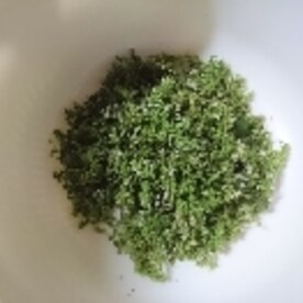 ご飯のお供に 大葉 青じそ の実 花穂 の塩漬け レシピ 作り方 By あやめぇ 楽天レシピ ご飯のお供に 大葉 青じそ の実 花穂 の塩漬け レシピ 作り方 By あやめぇ 楽天レシピ